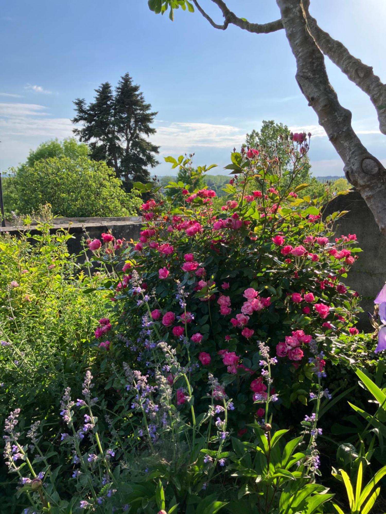 La Villa Lauvray Vétheuil Eksteriør billede